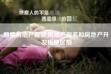 股票房地产板块,房地产服务和房地产开发板块区别