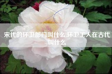 宋代的环卫部门叫什么,环卫工人在古代叫什么