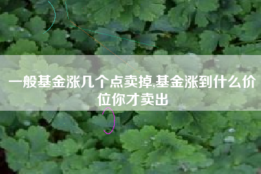 详细阅读:一般基金涨几个点卖掉,基金涨到什么价位你才卖出 一般基金涨几个点卖掉,基金涨到什么价位你才卖出
