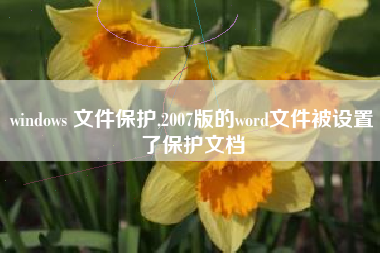 windows 文件保护,2007版的word文件被设置了保护文档