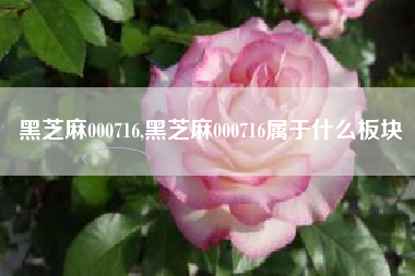 黑芝麻000716,黑芝麻000716属于什么板块