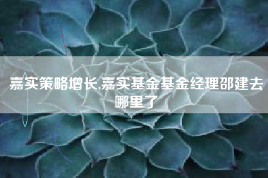 嘉实策略增长,嘉实基金基金经理邵建去哪里了