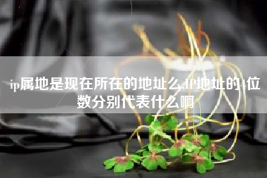 ip属地是现在所在的地址么,IP地址的4位数分别代表什么啊