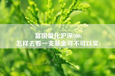 富国量化沪深300(
怎样去看一支基金可不可以买) 富国量化沪深300(
怎样去看一支基金可不可以买)