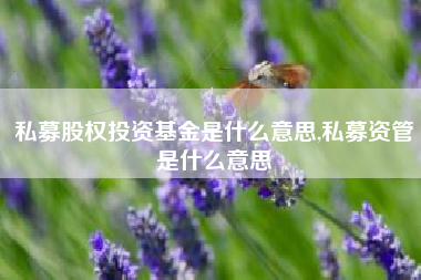 私募股权投资基金是什么意思,私募资管是什么意思