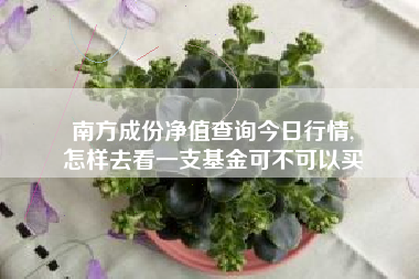 南方成份净值查询今日行情,
怎样去看一支基金可不可以买 南方成份净值查询今日行情,
怎样去看一支基金可不可以买