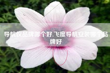 导航仪品牌哪个好,飞度导航安装哪个品牌好