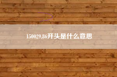 150029,86开头是什么意思