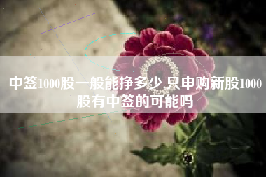中签1000股一般能挣多少,只申购新股1000股有中签的可能吗