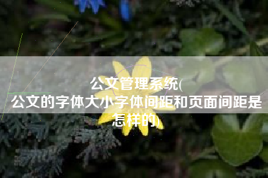 公文管理系统(
公文的字体大小字体间距和页面间距是怎样的) 公文管理系统(
公文的字体大小字体间距和页面间距是怎样的)