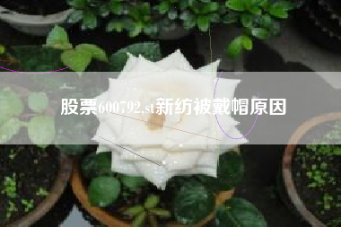 股票600792,st新纺被戴帽原因