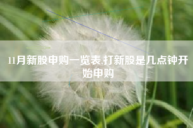 11月新股申购一览表,打新股是几点钟开始申购