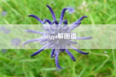 chatgpt解图谱