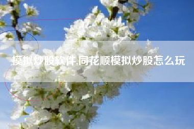 模拟炒股软件,同花顺模拟炒股怎么玩