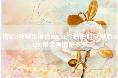 博时2号基金净值050201,今日博时贰号后051201基金净值是多少