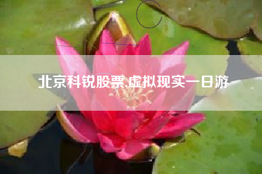 北京科锐股票,虚拟现实一日游