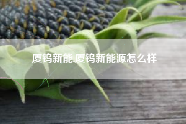 厦钨新能,厦钨新能源怎么样