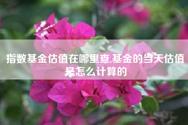 指数基金估值在哪里查,基金的当天估值是怎么计算的
