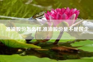 准油股份怎么样,准油股份是不是国企