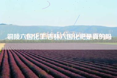 铜陵六国化工,吉林六国化肥是真的吗