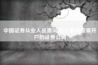 中国证券从业人员查询,怎么查询股票开户的证券公司