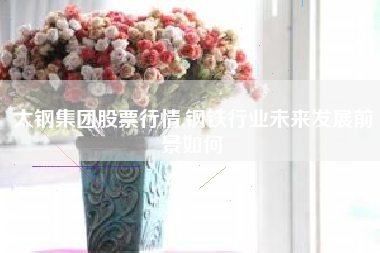 太钢集团股票行情,钢铁行业未来发展前景如何