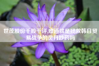世茂股份千股千评,难道就是拯救韩日贸易战争的灵丹妙药吗