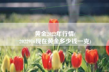 黄金2022年行情(
2022916现在黄金多少钱一克) 黄金2022年行情(
2022916现在黄金多少钱一克)