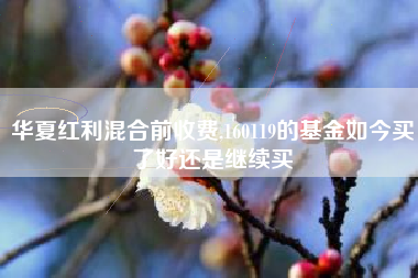 华夏红利混合前收费,160119的基金如今买了好还是继续买