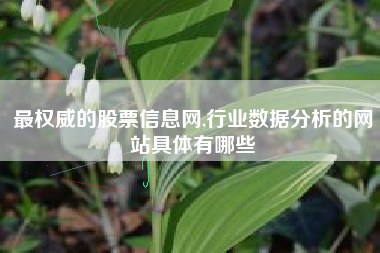 最权威的股票信息网,行业数据分析的网站具体有哪些