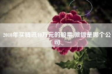 2010年买腾讯10万元的股票,微信是哪个公司