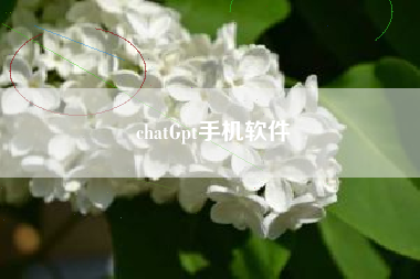 chatGpt手机软件