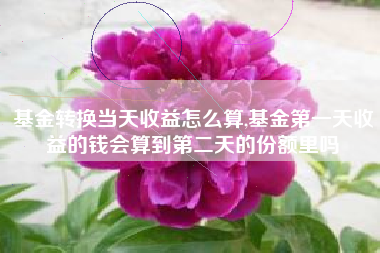 基金转换当天收益怎么算,基金第一天收益的钱会算到第二天的份额里吗