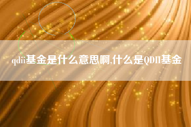 qdii基金是什么意思啊,什么是QDII基金
