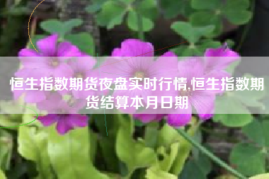 恒生指数期货夜盘实时行情,恒生指数期货结算本月日期