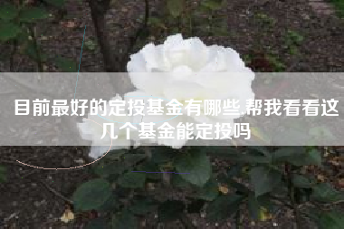 目前最好的定投基金有哪些,帮我看看这几个基金能定投吗