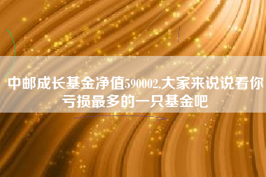 中邮成长基金净值590002,大家来说说看你亏损最多的一只基金吧