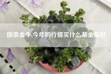 国泰金牛,今年的行情买什么基金最好
