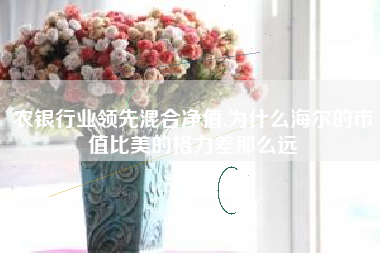 农银行业领先混合净值,为什么海尔的市值比美的格力差那么远
