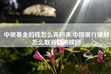 中银基金的钱怎么弄回来,中国银行理财怎么取消自动赎回