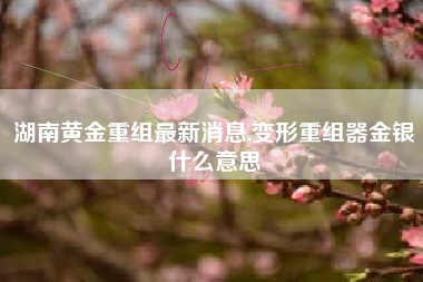 湖南黄金重组最新消息,变形重组器金银什么意思