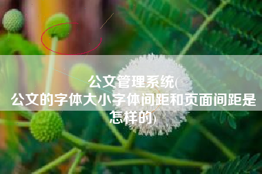 公文管理系统(
公文的字体大小字体间距和页面间距是怎样的) 公文管理系统(
公文的字体大小字体间距和页面间距是怎样的)