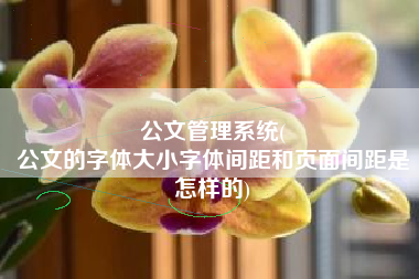 公文管理系统(
公文的字体大小字体间距和页面间距是怎样的) 公文管理系统(
公文的字体大小字体间距和页面间距是怎样的)