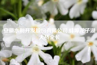 安徽水利开发股份有限公司,蚌埠龙子湖大桥全长