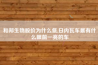 和邦生物股价为什么低,日内瓦车展有什么眼前一亮的车