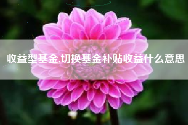 收益型基金,切换基金补贴收益什么意思