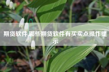 期货软件,哪些期货软件有买卖点操作提示
