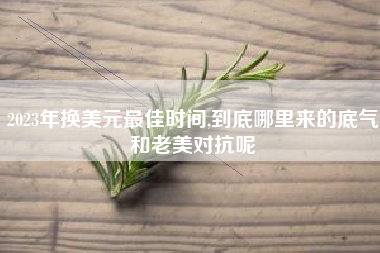 2023年换美元最佳时间,到底哪里来的底气和老美对抗呢