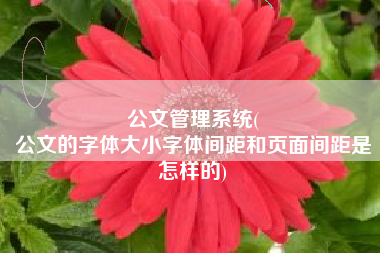 公文管理系统(
公文的字体大小字体间距和页面间距是怎样的) 公文管理系统(
公文的字体大小字体间距和页面间距是怎样的)
