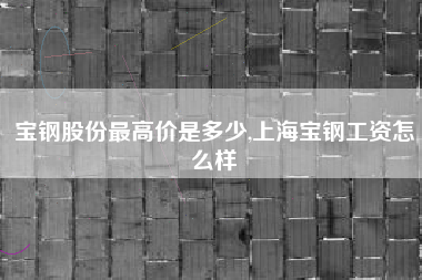 宝钢股份最高价是多少,上海宝钢工资怎么样